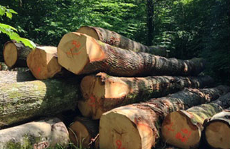 夾山木業(yè)各類包裝木箱木托盤 夾山木業(yè)各類包裝木箱木托盤